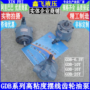 Bomba de Aceite de Engranajes Cicloides de Baja Ruido y Alta Viscosidad GDB-6.3Y/GDB-10Y/GDB-16Y/GDB-25Y para Aceites Diferenciales - Product Image 1