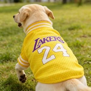 Camiseta Deportiva Transpirable de Malla para Perros, Estilo Deportivo, Inspirada en Equipos, para Razas Pequeñas, Medianas y Grandes, Ropa para Perros de Poliéster - Product Image 1