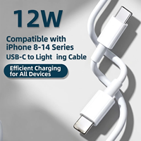 Câble USB Type C durable et flexible résistant aux plis pour la charge rapide des téléphones – Câble d'alimentation quotidien pour iPhone 8-14