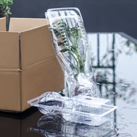 Plants de camélia et de piment Offre Spéciale Transport express de plantes en pot en plastique pour les semis de légumes et de fleurs de qualité jardin