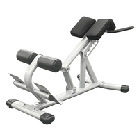 Banc romain de fitness commercial réglable pour extensions dorsales, support de gym élégant et personnalisable, chaise romaine