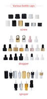 20ml 30ml 40ml 50ml 60ml 80ml 100ml 120ml 1OZ Botol Semprot Parfum Kosmetik Kaca Hitam Frost Amber Bahu Datar dengan Pompa 20/410