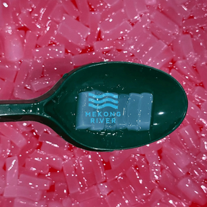 Premium Fruity Low-Fat Custom Shape Nata De Coco Jelly OEM Factory Direct for Bubble Tea Desserts Bulk Supply - Product Image 2