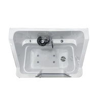 Grande baignoire autoportante pour chien, spa pour animaux de compagnie avec levage électrique et massage par remous, pour salon de toilettage, station de lavage de chiens, usage intérieur