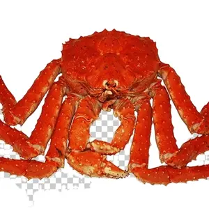 Pemasok kepiting King capit kualitas Premium/Live King Crab untuk dijual/diskon Grendel Crab King Crab cluster untuk grosir