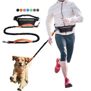 Correa Acolchada con Diseño Sólido para Perros Grandes, Correa de Tracción Doble Resistente para Correr y Caminar, Correa Retráctil para Perros - Product Image 1