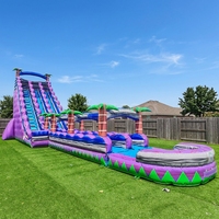 Toboggan aquatique gonflable commercial à double piste avec longue glissière, toboggan aquatique tropical palmier avec piscine, aire de jeux extérieure