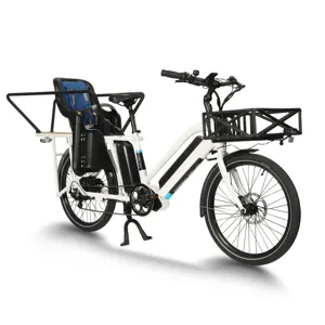 Bicicleta eléctrica de carga, Ebike de largo alcance, 500W, 750W, entrega de alimentos, venta al por mayor