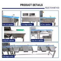 Trieur de poids dynamique à 6 niveaux en acier inoxydable avec écran LCD, OEM ODM pour fruits de mer, volailles, fruits
