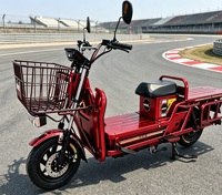 Moto électrique tout-terrain robuste YT 35 avec cadre en acier haute teneur en carbone, batterie au plomb ou au lithium en option pour la télécommande