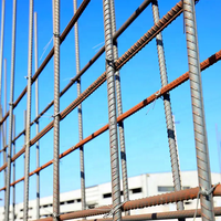 Varillas de Acero Corrugado Laminadas en Caliente de 8mm, 10mm, 12mm, 14mm y 16mm, Barras TMT, Acero Deformado para Construcción