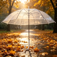 YS-1007 Parapluie transparent POE à ouverture automatique pour extérieur, avec logo personnalisé, parapluie promotionnel classique, fourni par l'usine