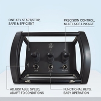 Control Remoto Negro de 3 Palancas, Buen Precio, IP68 Impermeable, Inalámbrico para Grúa, Personalizable