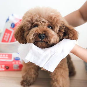 Lingettes de bain et de toilettage <span class=keywords><strong>pour</strong></span> animaux de compagnie - Utilisation facile sous la douche <span class=keywords><strong>pour</strong></span> chiens et chats, matériau non tissé, parfum personnalisé - Product Image 4