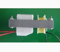 Transformateurs haute tension pour pièges électriques anti-insectes en intérieur, extérieur, sur terrasse, porche, cuisine, garage