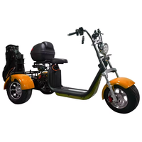 Tricycle électrique de golf 3 roues pour le marché australien, avec pneus larges, GPS, pliable, étanche, longue autonomie, type Citycoco