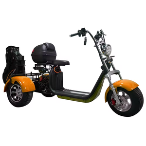 Carrito <span class=keywords><strong>de</strong></span> <span class=keywords><strong>Golf</strong></span> Eléctrico <span class=keywords><strong>de</strong></span> 3 Ruedas para el Mercado Australiano, Triciclo con Llantas Anchas, GPS, Plegable, Impermeable, <span class=keywords><strong>de</strong></span> Largo Alcance, Scooter Citycoco - Product Image 1