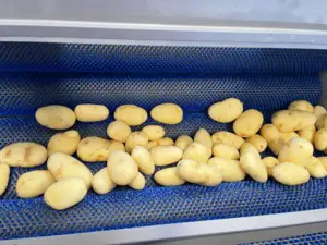 Pelador de patatas con cepillo, máquina peladora de zanahorias y verduras