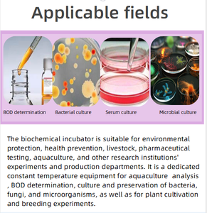 Incubadora de calefacción eléctrica de laboratorio multifuncional Dispositivo de temperatura constante Bioquímica de temperatura microbiológica - Product Image 6