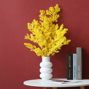 Helechos <span class=keywords><strong>Ming</strong></span> rojos conservados, espárragos naturales conservados, flores secas de Myriocladus para decoración del hogar, arreglos florales festivos, hojas - Product Image 3