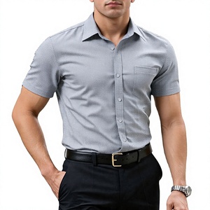 100% Cotton Twill Formal Casual Style Spring <b>Shirt</b> for Men High Quality Various Colors Comfortable & Breathable Eco-Friendly - Product Image 1