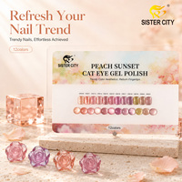 Vernis à ongles professionnel effet gel magnétique œil de chat OEM, facile à retirer, pour salon