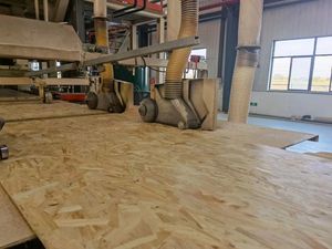 Proveedor de Madera Contrachapada de China a <span class=keywords><strong>Precio</strong></span> de Fábrica, Tablero <span class=keywords><strong>OSB</strong></span> de <span class=keywords><strong>8</strong></span> <span class=keywords><strong>mm</strong></span> y 12 <span class=keywords><strong>mm</strong></span>, Fabricantes de <span class=keywords><strong>OSB</strong></span> Impermeables - Product Image 3