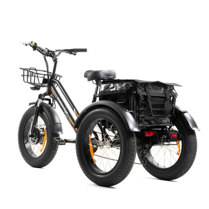 20 pollici Triciclo elettrico 750W motore grasso pneumatico 3 <span class=keywords><strong>ruote</strong></span> E <span class=keywords><strong>bici</strong></span> Triciclo <span class=keywords><strong>tre</strong></span> <span class=keywords><strong>ruote</strong></span> adulto Cargo <span class=keywords><strong>bici</strong></span> elettrica con cestino - Product Image 5