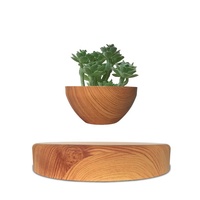 Pot de fleurs flottant en bois à lévitation magnétique, alimenté électriquement, 12-15 mm, design créatif moderne, certifié 15V 1A