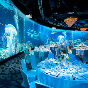 Trong Nhà nhập vai 3D Lập Bản Đồ tương tác bàn ăn Laser Chiếu tường bảng chiếu nhà hàng thiết bị quảng cáo - Product Image 5