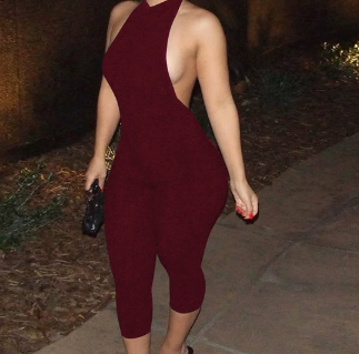 Z530JP01 สีเบอร์กันดี