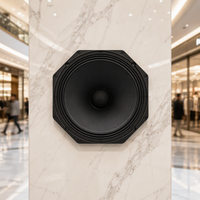 Dragonstage Haut-parleurs subwoofer en néodyme 18 pouces, Haut-parleur subwoofer 18, Haut-parleur PA