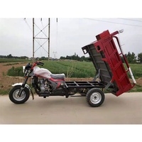 Tricycles à essence améliorés à refroidissement liquide de 250cc, 300cc et 350cc, très demandés, adaptés au transport de marchandises