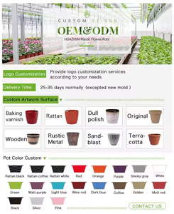 พลั่วตักดินขนาดเล็กพร้อมด้ามไม้ที่เหมาะสำหรับเด็ก - Product Image 6