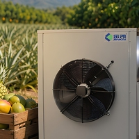 Commerciële voedseldroger met warmtepomp, fruitdroger, hoge capaciteit