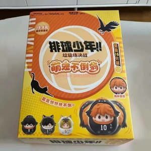 ไฮคิว ยู นิชิโนยะ อนิเมะ ทาดาชิ ยามากุจิ โชโย ฮินาตะ ตุ๊กตาตั้งโต๊ะขนาดเล็ก กล่องสุ่ม ของตกแต่งโต๊ะทำงาน ของเล่น ของขวัญ - Product Image 6