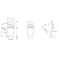 Mano Robótica Biónica Humanoide Claws Agile Hirobot de 6 Grados de Libertad A2CA-LiteS001 con Accionamiento Servoeléctrico, Motor de 48V 48W, Protección IP54, 1 Año de Garantía