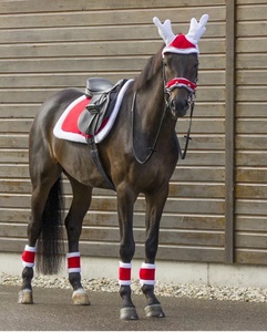 Meilleures ventes Bottes de brossage de chevaux équestres de Noël d'hiver personnalisées pour l'entraînement et l'équitation - Product Image 4