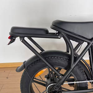 महिलाओं के टॉर्क सेंसर वसा टायर के माध्यम से इलेक्ट्रिक हाइब्रिड गंदगी बाइक इलेक्ट्रिक हाइब्रिड गंदगी बाइक - Product Image 3