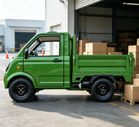 Véhicule électrique à benne basculante à 4 roues certifié CEE, véhicule électrique 3500W, camion à énergie nouvelle, 25 km/h, 2 places, E-pickup