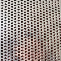 Malla Perforada de Acero Inoxidable 304 con Orificios Redondos para Ventilación de Cercas, con Servicios de Doblado y Corte