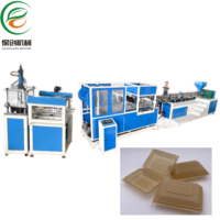 Machine de thermoformage automatique en promotion pour contenants alimentaires écologiques, biodégradables et compostables en coque de riz, boîtes à lunch