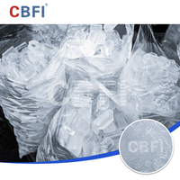 Máquina de Hielo en Tubo de 30 Toneladas por Día con PLC, Filtro de Agua y Sistema de Empaque