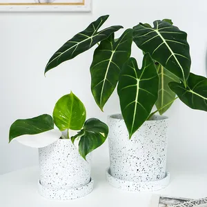 New arrival simple style round ceramic green plant pots with saucer for home garden decor