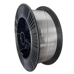 Cr20Ni80 Resistance Nichrome 80 Wire 1 Kg Stocked Ni80 Nickel Wire 0.025 Mm Plate