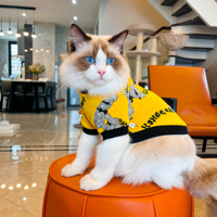 Vêtements pour animaux de compagnie en stock, respirants, 100% coton, imprimé ours orange, sweats à capuche de luxe pour chiens et chats