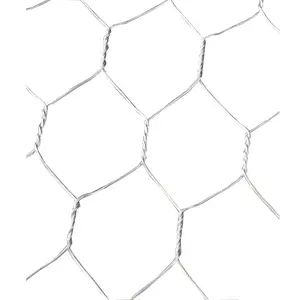 Hot Selling Poultry Wire/ 1/2 Inch Hexagonal Wire Mesh/ Chicken Cage For Breeders Hens