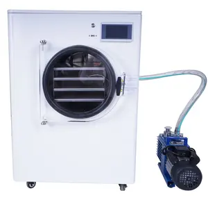 Máquina de secagem do Liofilizador do alimento do secador do gelo para a casa com preço da bomba de vácuo Máquina do secador do gelo do vácuo para o alimento