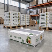 PP golfkartonnen plastic verpakkingsdoos Groenten Asperges Op maat gemaakte maat okra waterdicht duurzaam druiven gember transport omzetdoos