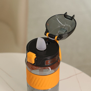 Bouteille d'eau portable en plastique avec infuseur à thé, couvercle à bouton-poussoir, sans BPA, pour la randonnée en plein air, les voyages, les adultes, design moderne - Product Image 5